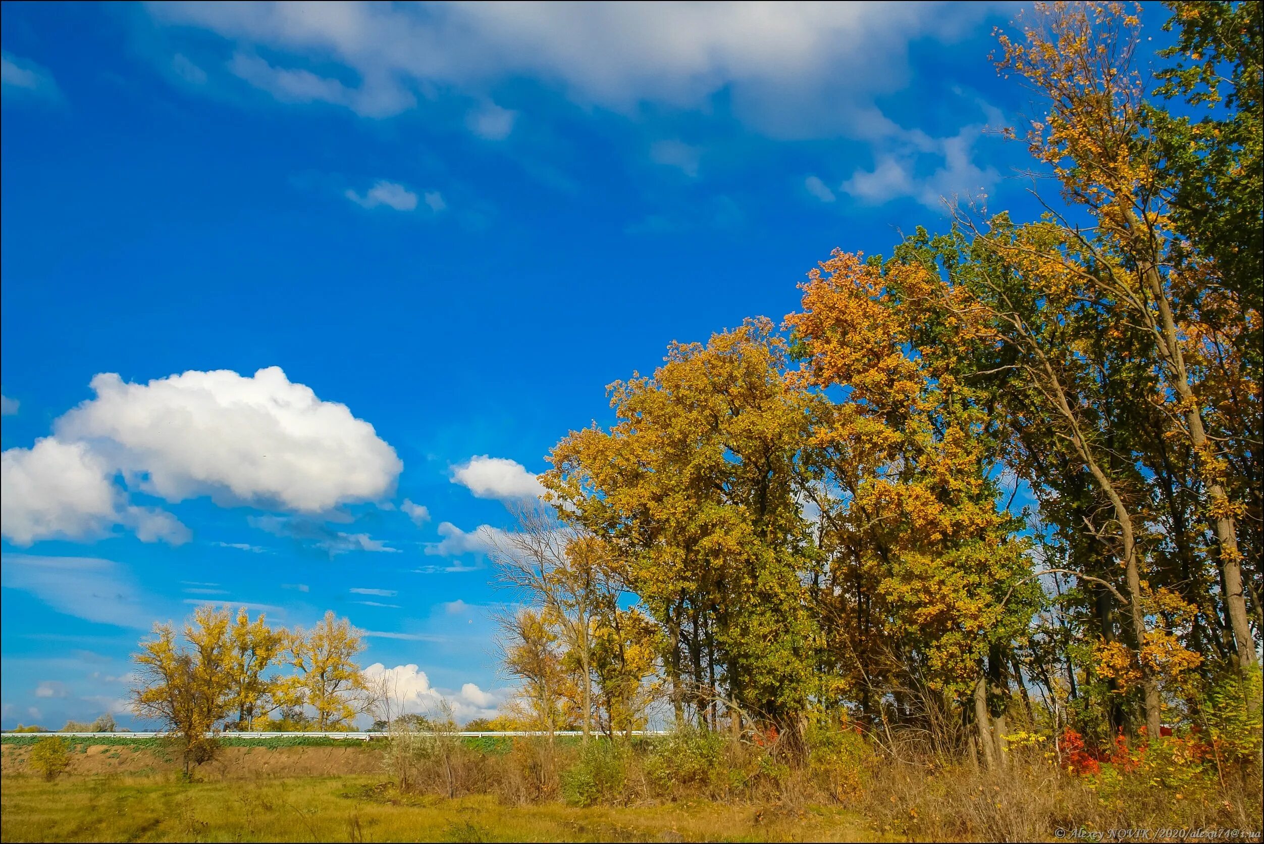Осень небо. Небо осенью. Осеннее небо. Осеннее небо. Осень небо.