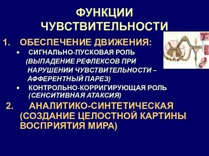 Контрастная чувствительность это функция анализатора