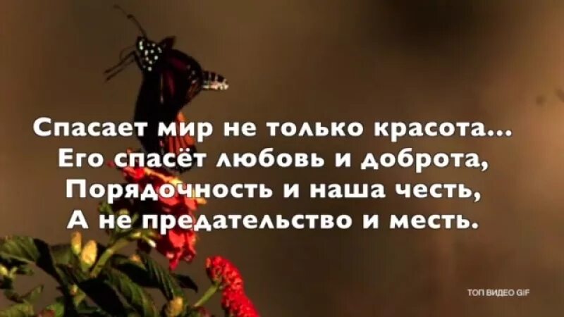 Доброта любовь спасет мир. Доброта и любовь спасут мир. любовь спасет мир. красота и доброта спасут мир. доброта спасет мир.