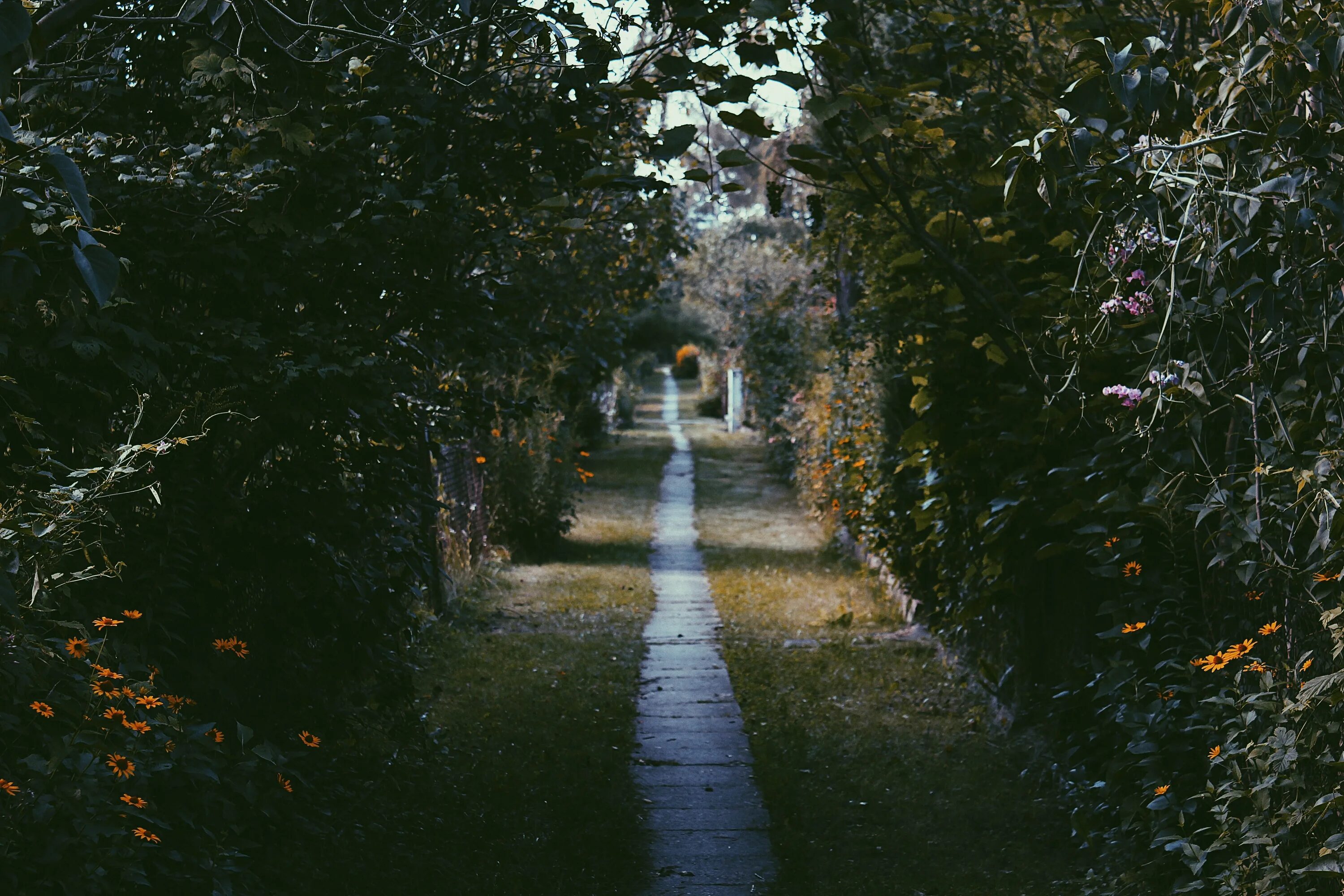 В саду было темно. Красивый но темный сад. Темный сад нарва. Парк в нарве. Уличное ландшафтное освещение.