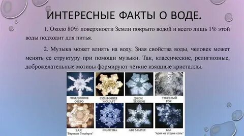 Сообщение о фактах