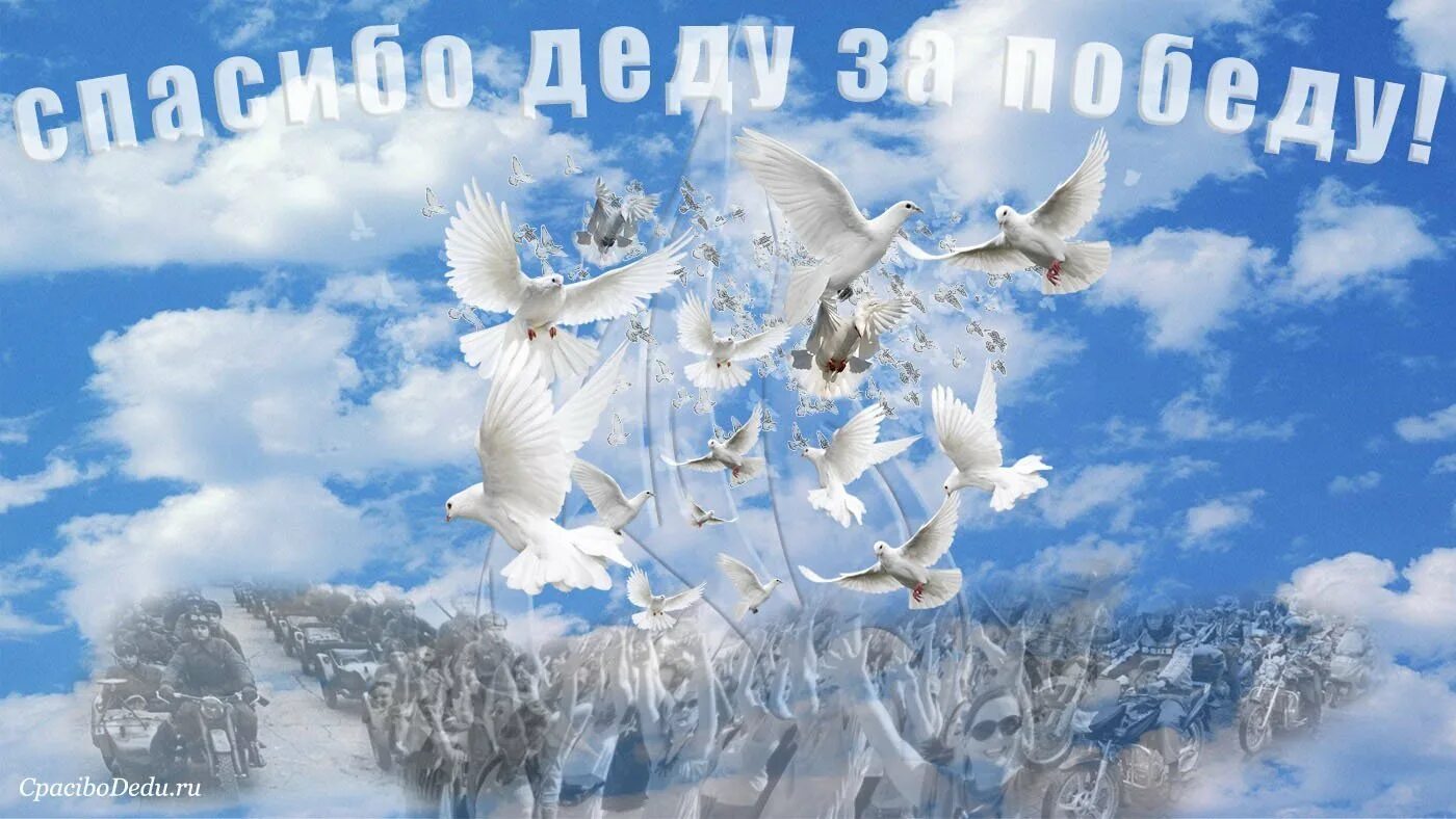 Доброго мирного неба картинки. Открытка мирного неба. мирное небо голуби. день победы голуби. день победы голубь мира.
