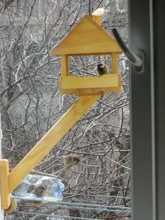 Кормушки для птиц на окно своими руками