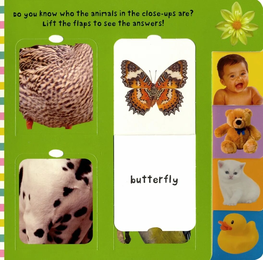 Word lift. Words. board book. flap t words. летняя л. &quot;words. board book&quot;. flap t произношение.