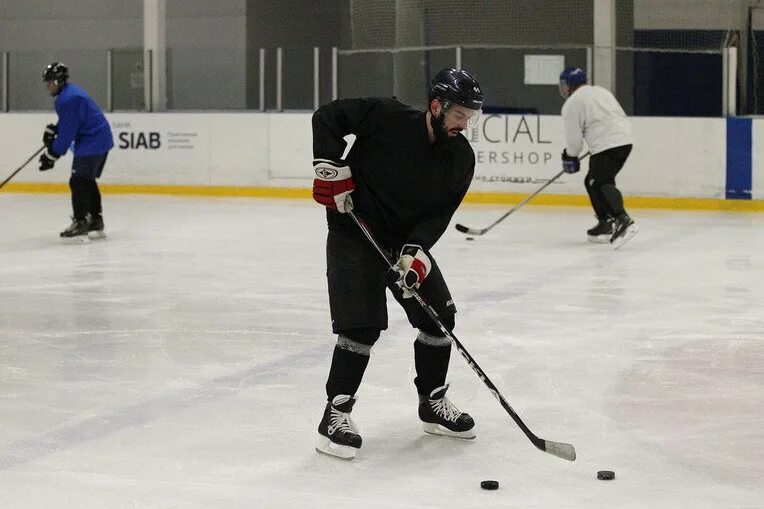 Санадзе когда я вырасту я стану хоккеистом. Фамилия рубин. Как стать хоккеистом. Санадзе м. Хоккеисты.