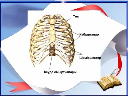 Жалаңаш қыздар кискаларын көрсетеді