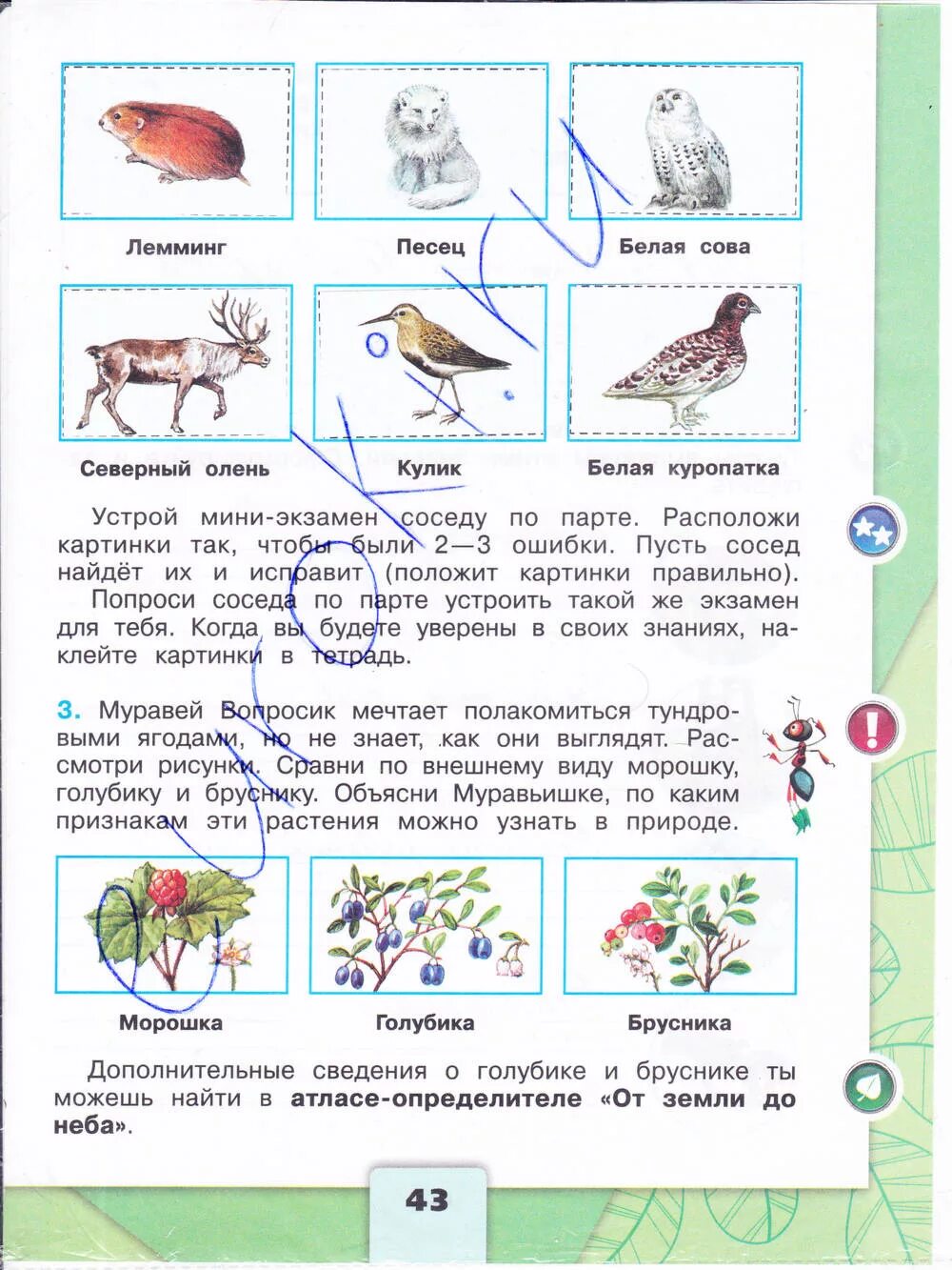 Окружающий мир страница 43 46. Гдз окружающий мир 4 класс рабочая тетрадь Плешаков Крючкова. Окружающий мир 4 класс рабочая тетрадь Плешаков Крючкова стр. Окружающий мир рабочая тетрадь 1 часть а. а. Плешакова, е. а. Крючковой. Окружающий мир 4 класс рабочая тетрадь 1 часть Плешаков стр 43 номер 5.