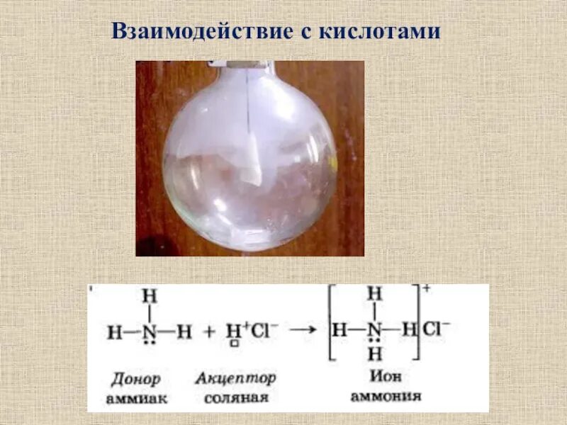 Взаимодействие аммиака с соляной кислотой рисунок. Взаимодействие аммиака с кислотами уравнение реакции. Взаимодействие аммиака с кислотами. Реакция взаимодействия аммиака с кислотами. Реакции аммиака с водой и кислотами