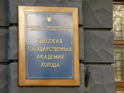 Академия холода