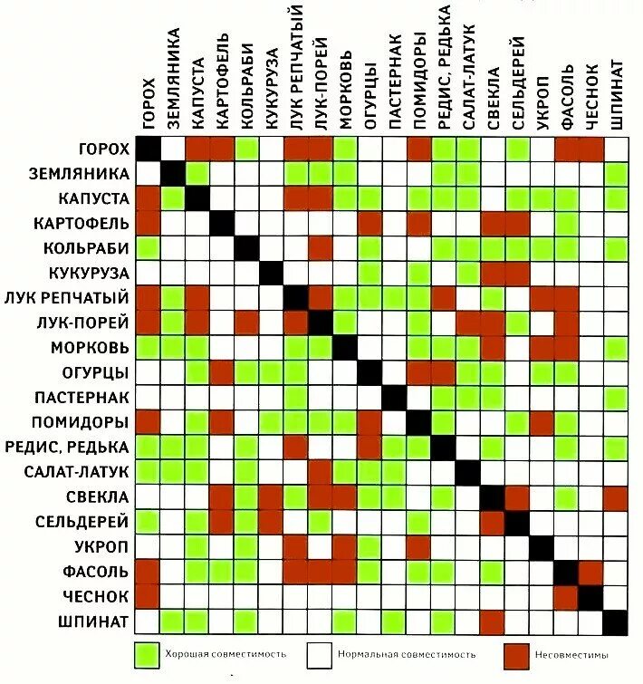 После каких культур можно сажать перец. Совместимость огородных культур. Соседство овощей. Соседство овощей на грядках. Таблица совместимости культур.