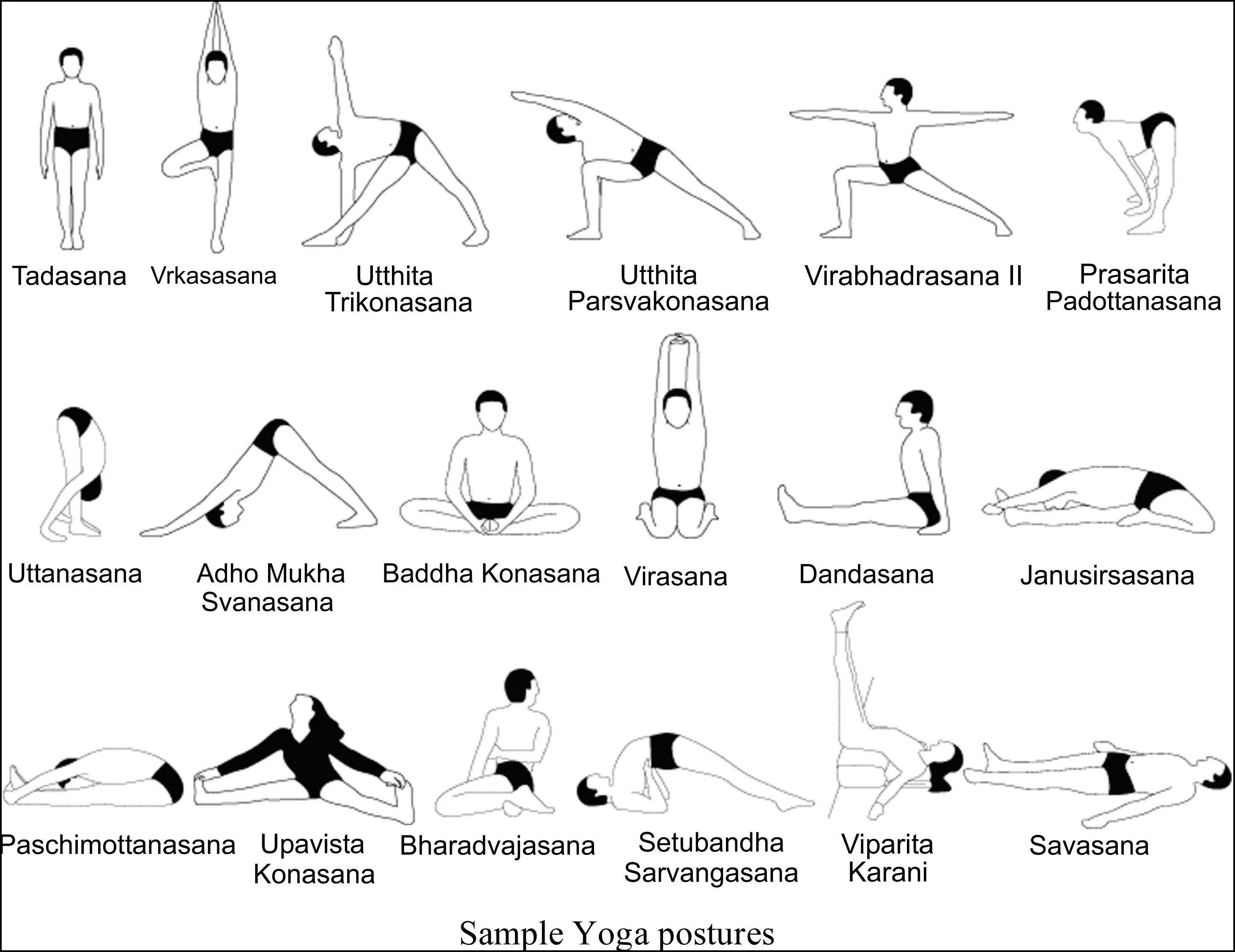 Основная асана йоги. Хатха-йога комплекс упражнений. Комплекс упражнений хатха-йоги. Комплекс асан хатха йоги. Комплекс асан хатха йоге для начинающих.