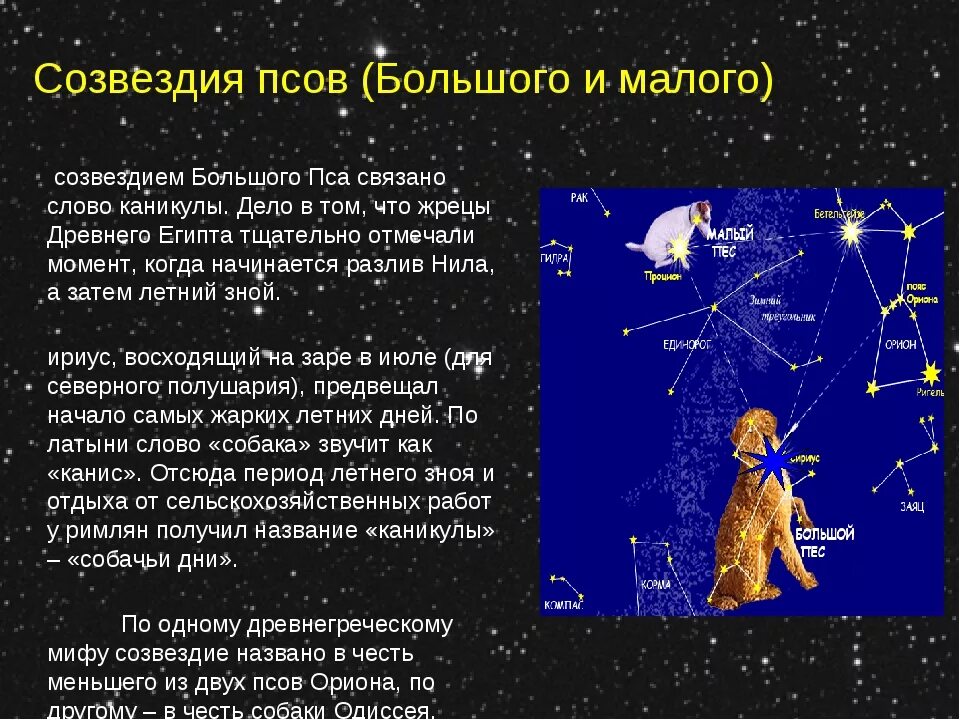 К какому созвездию относится сириус 2 класс