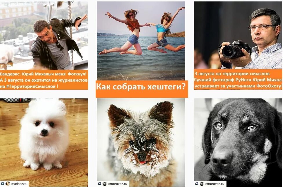 Хештеги юмор. Смешные хештеги. смешные хештеги про фотографов. самые популярные хештеги о кошках. молодежные хештеги популярные.