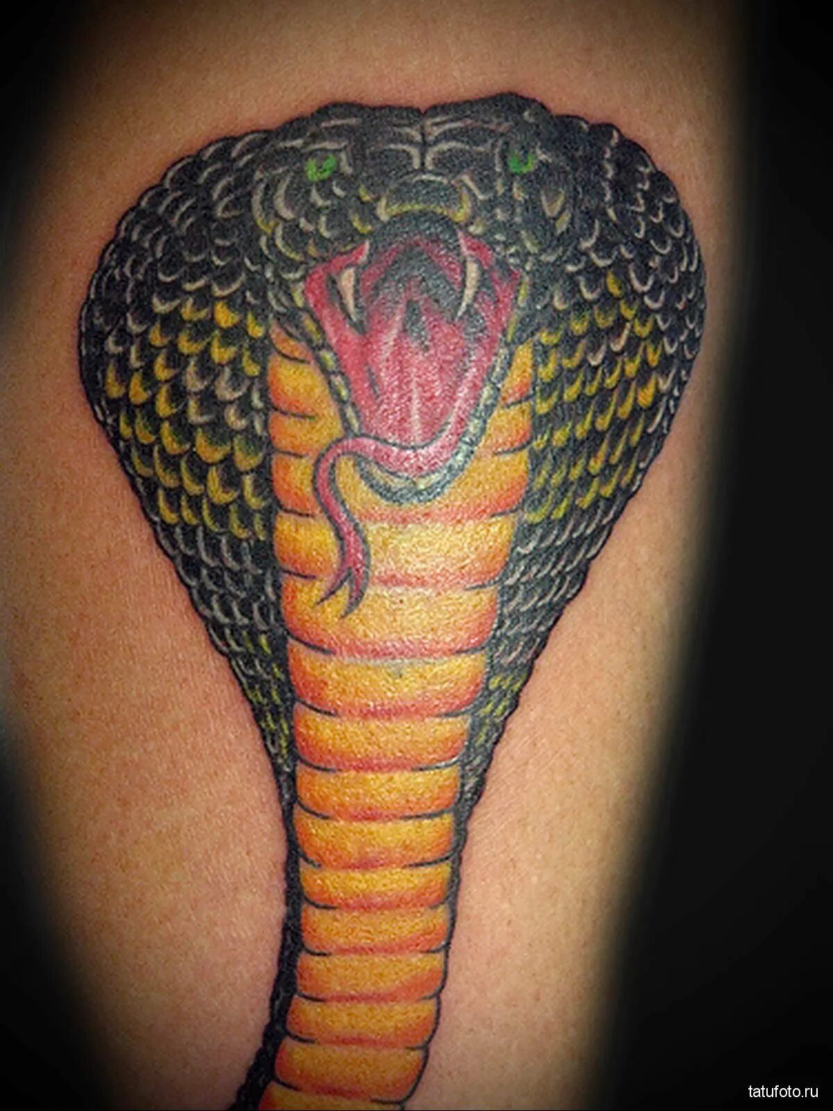 Медуза горгона реализм. Тату змеи на лице. Королевская кобра нагайна. Стилизованная змея. Тату кобра.