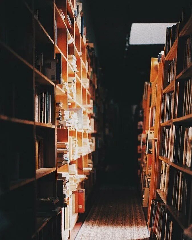 Идеи для библиотеки. Страсть в библиотеке. Библиотека картинки. Бесконечная полки книг.