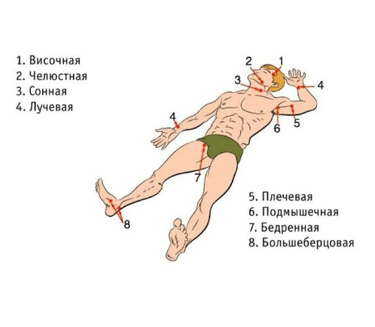 Пульсирует и течет