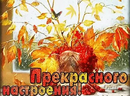 Картинки с добрым утром последний день осени