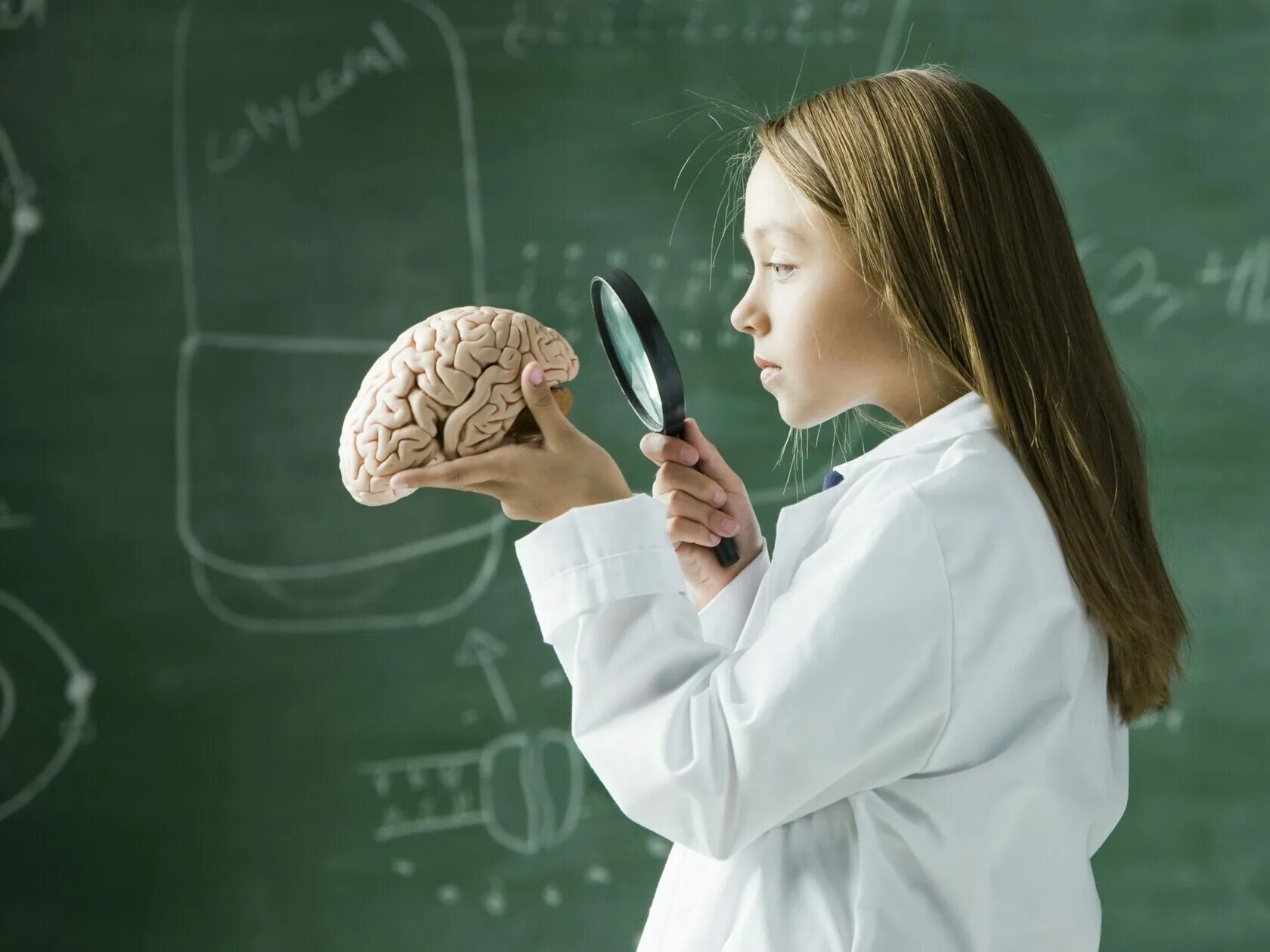 Нейропсихолог учиться. Мозг ребенка. Интеллект ребенка. Интеллектуальные и умственные способности. Урок биологии.