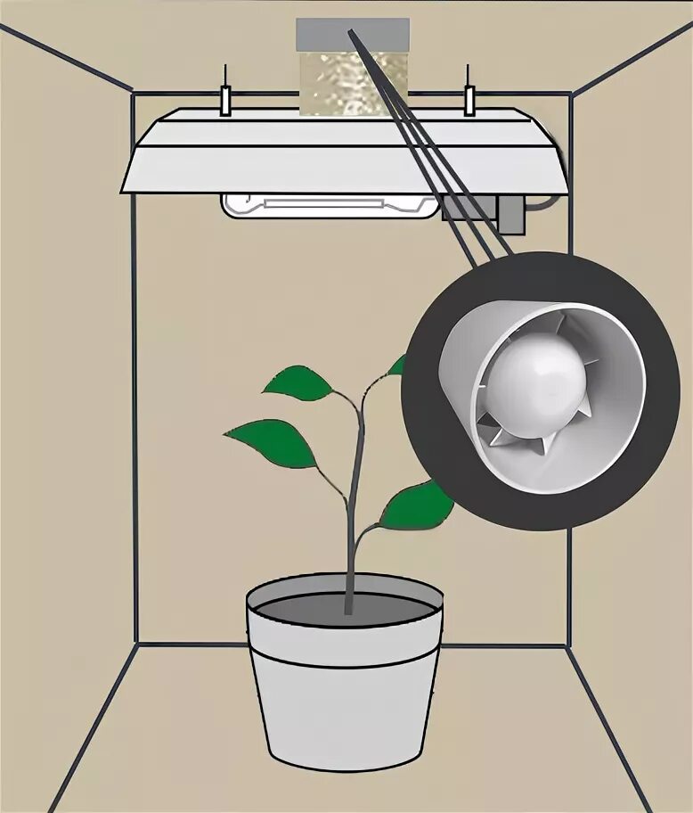 Вентилятор для гроубокса. Схема вентиляции гроубокса. Гроубокс вытяжной вентилятор. Чертеж гроубокса для конопли. Гроубокс Кулмастер ДНАТ.