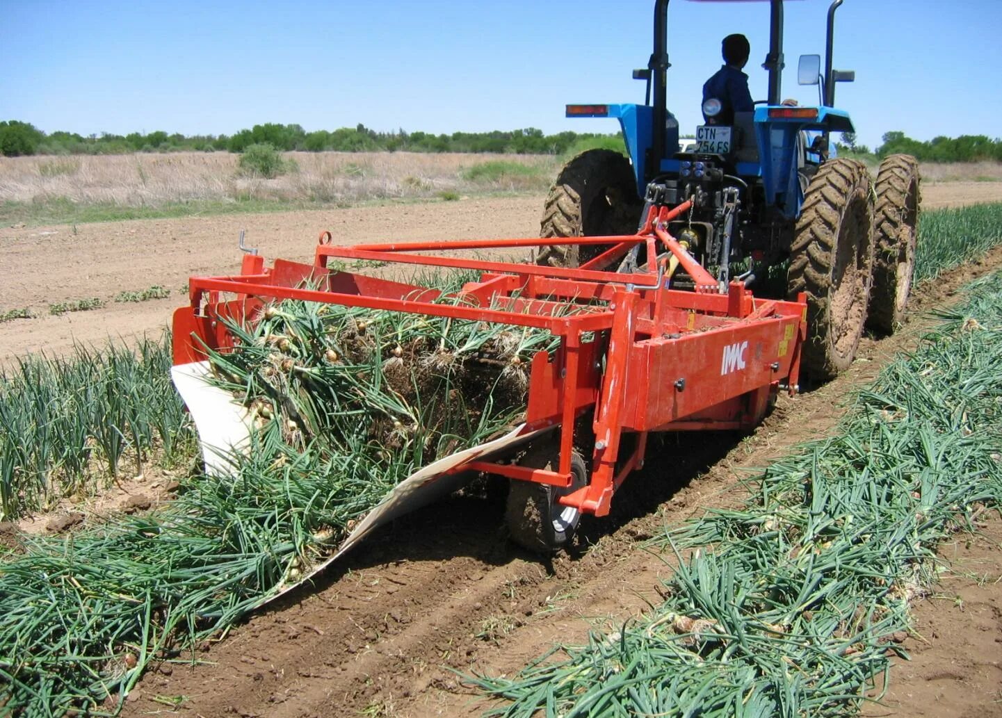 комбайн для уборки моркови. комбайн картофелеуборочный varitron 270. механизированная уборка жимолости. капустоуборочный комбайн asa-lift. свеклоуборочный комбайн asa-lift.