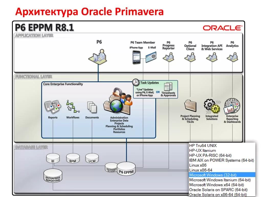Проект oracle. Проект oracle