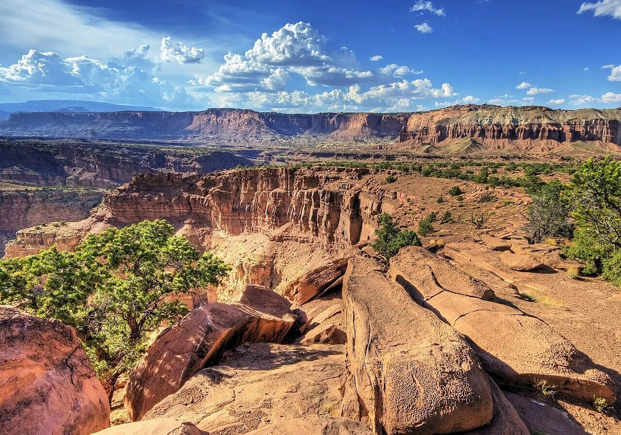 National park usa. Национальный парк Капитол-риф Юта. Капитол риф США. Национальный парк Капитолийский риф, штат Юта. Национальный парк Зайон США.