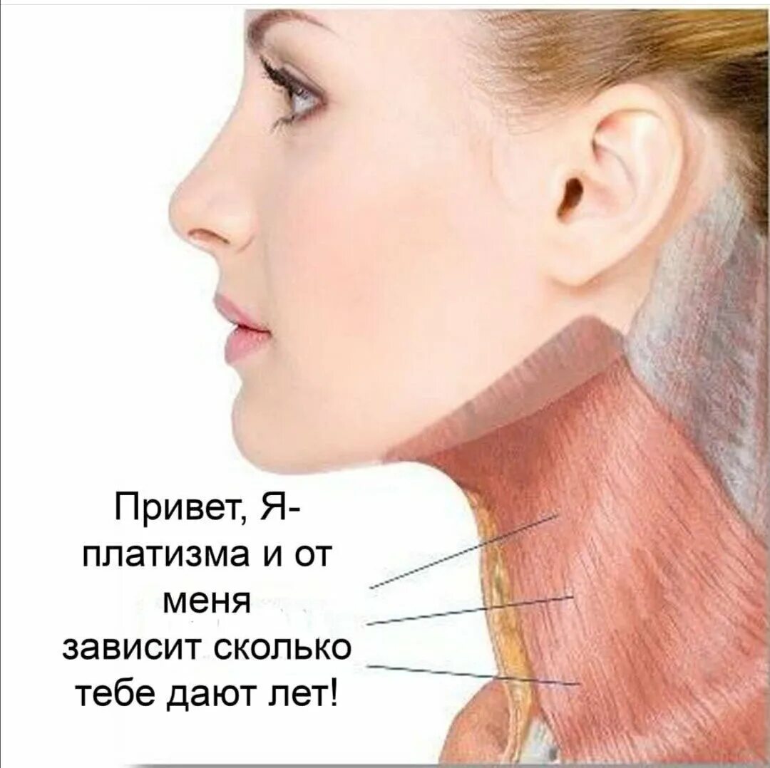 Платизма. Платизма мышца шеи анатомия. подкожная мышца шеи платизма. мышца платизма упражнения молодости.