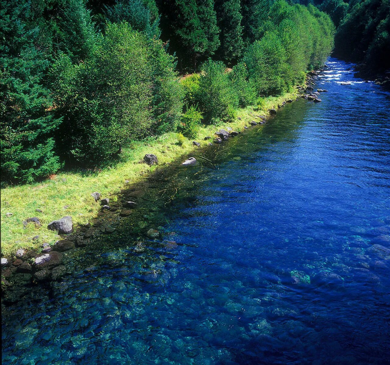 Маккензи река к какому бассейну. Река маккензи. mckenzie river trail. голубой бассейн - река маккензи, орегон. сша. река маккензи мост.