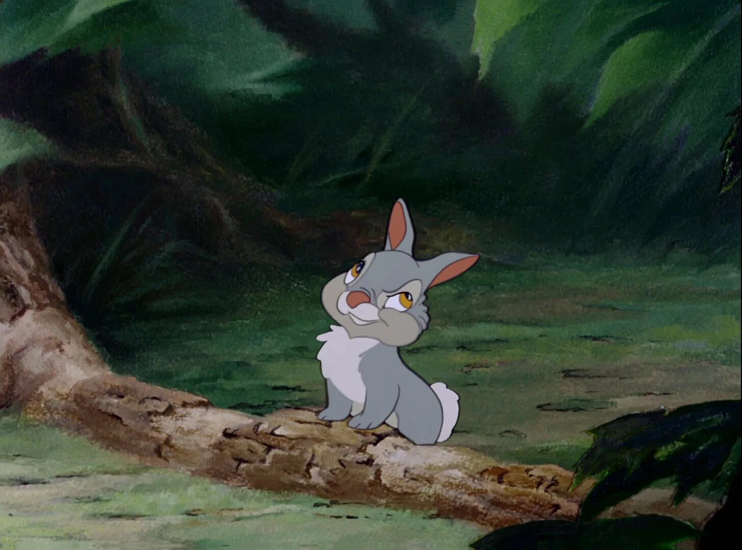 Мульты gif. Тампер Бэмби кролик. Кролик Дисней Бэмби. Кролик с мультфильма Бемби. Гифки из мультиков.