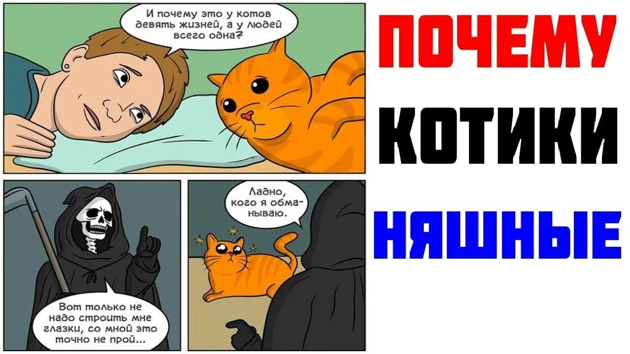 Почему коты говорят