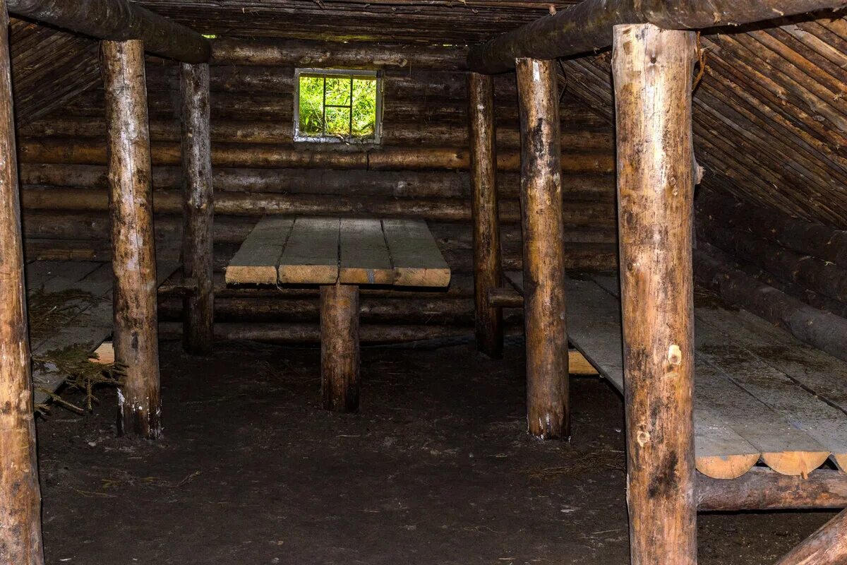 Блиндаж анвап. Брянский лес. партизанская землянка. землянка блиндаж. партизанская поляна землянка внутри.