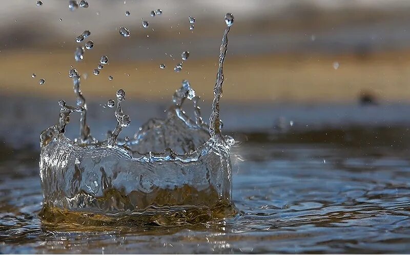 Капли дождя на воде. Капли дождя в луже. Дождь на воде. Капли на луже. Дождевая вода.