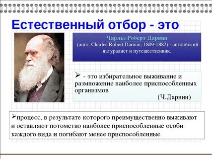 5 примеров естественного отбора