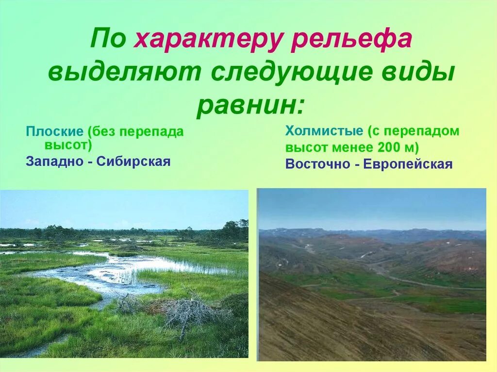 Виды равнин. Рельеф равнины. Что такое характер рельефа равнины. Равнинный Тип рельефа.