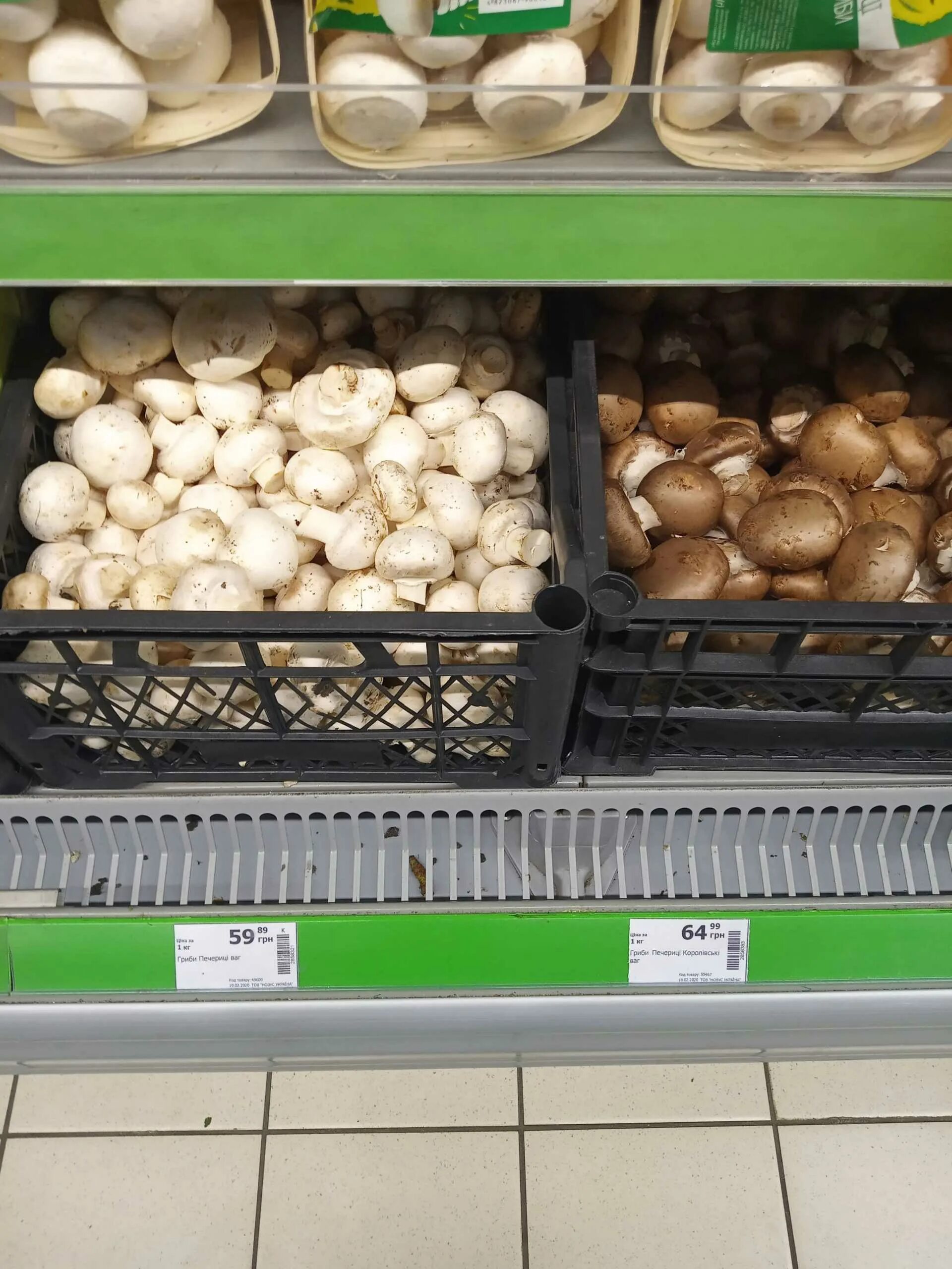 Шампиньоны мини пятерочка. Шампиньоны пятерочка. Шампиньоны из пятерочки. Шампиньоны пятерочка. Шампиньоны в магазине пятерочка.