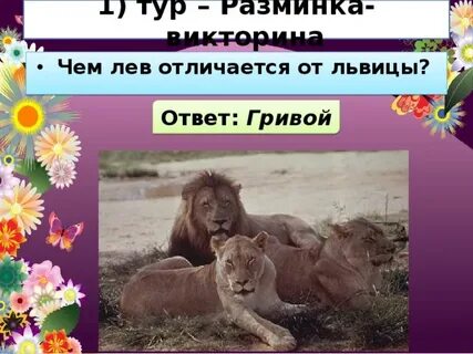 Чем отличается лев