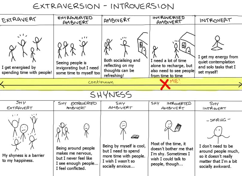 Extraversion. Extraversion and Introversion. MBTI extraversion. Extraversion and Introversion картина. Shy meaning