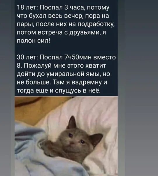 Спи 3 группа. Спи 3 группа
