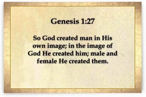 Genesis 1
