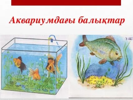 Орыс ана секс видео