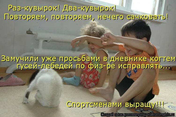 сочковать или сачковать. не сачкуй. сочковать или сачковать. сочкует или сачкует. ждем результат приколы.