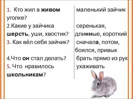 Русский язык 5 класс изложение зайчата