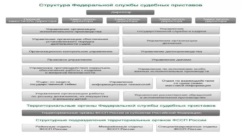 Система судебных приставов. Структура органов фссп россии схема. организационная структура и деятельность службы судебных приставов.. организационная структура службы судебных приставов. организационная структура фссп.