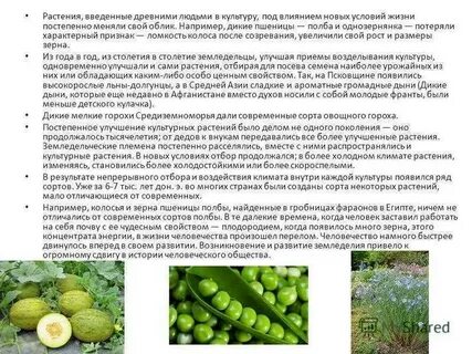 Роль человека в создании культурных растений