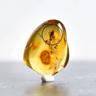 Поставь amber