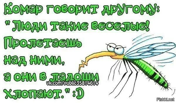 Комар ночью спать. Смешной комар. комар прикол.