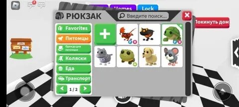 Адопт ми петы драконы