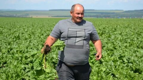 Агроном суздаль