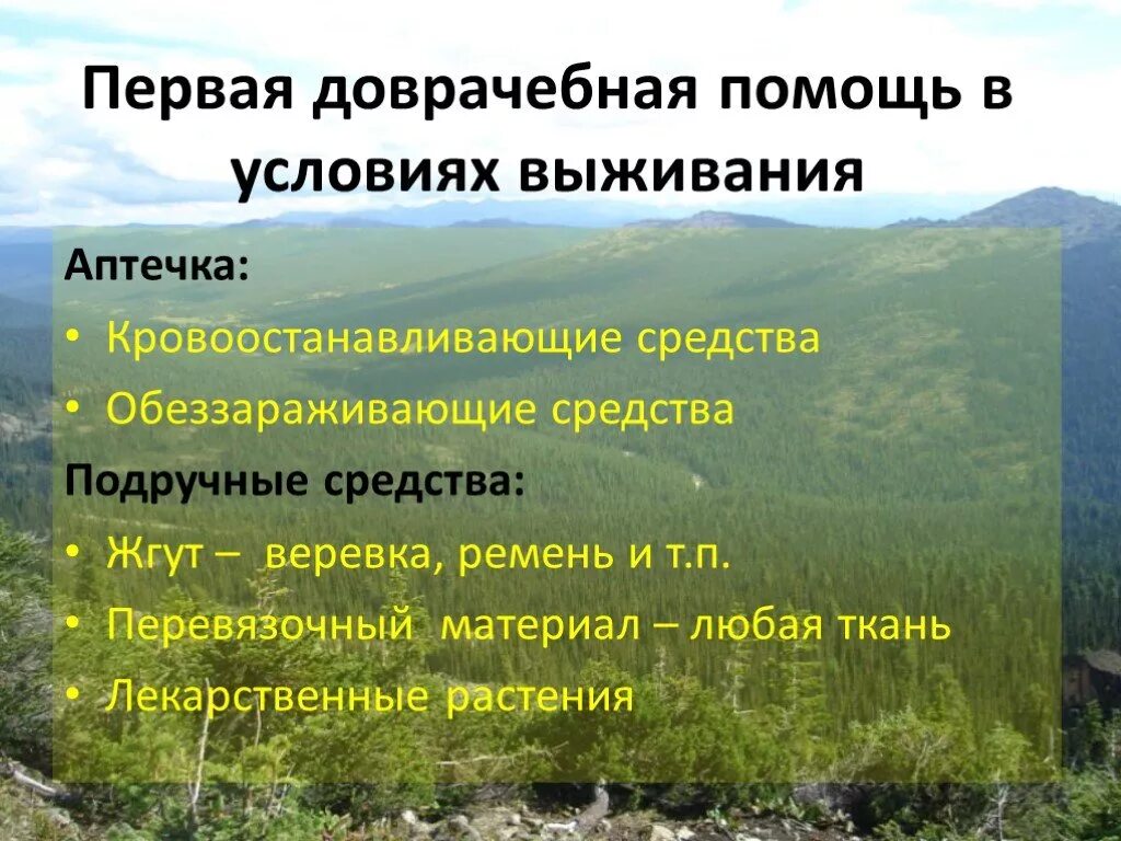 Васюткино озеро памятка как выжить в лесу. Способы выживания в тайге. Памятка по выживанию в тайге. Правила как выжить в тайге. Памятка выживания в тайге.