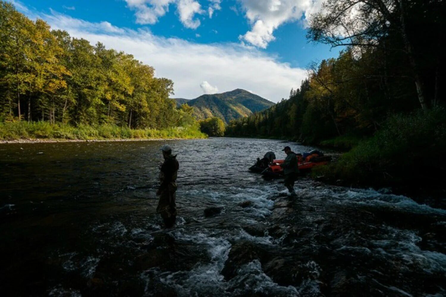 Сайт вувы